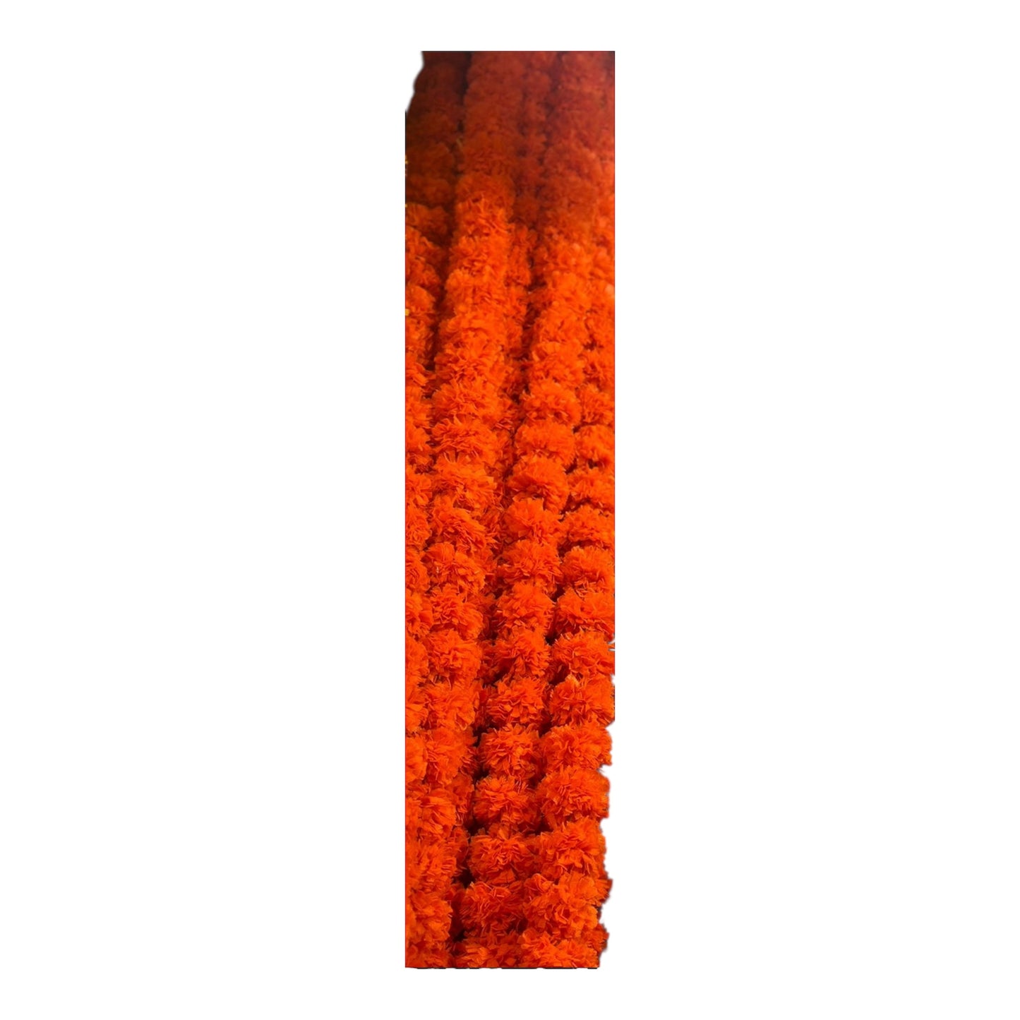 UK Based - Garlands/Ladiyan in Orange - making your mehndi and dholki special